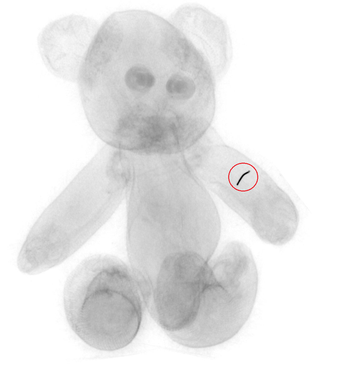 x-ray toy safety